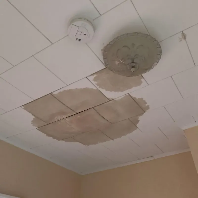 Ceiling Water Damage Repair in North Decatur, GA